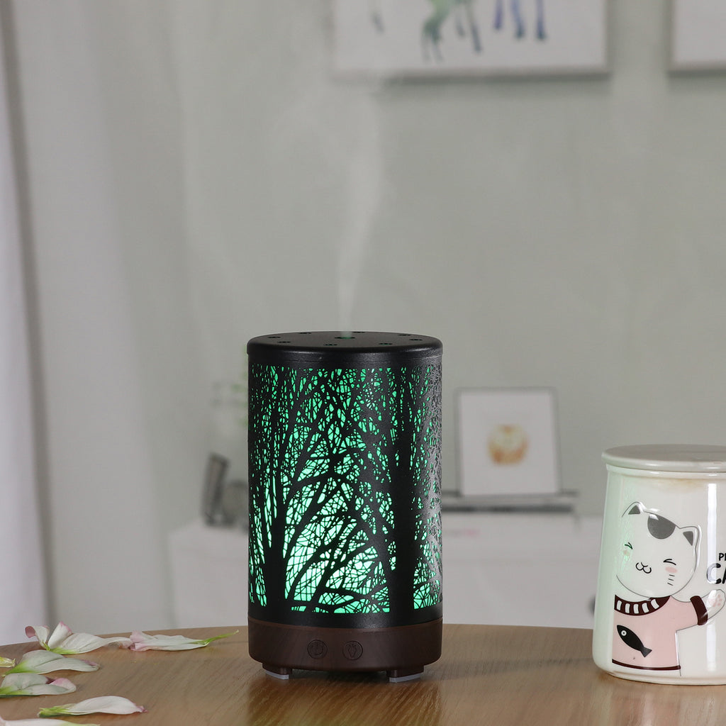 Car Aroma Diffuser